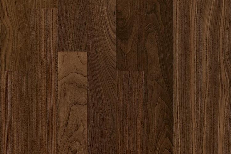 Walnuss amerik. Philadelphia